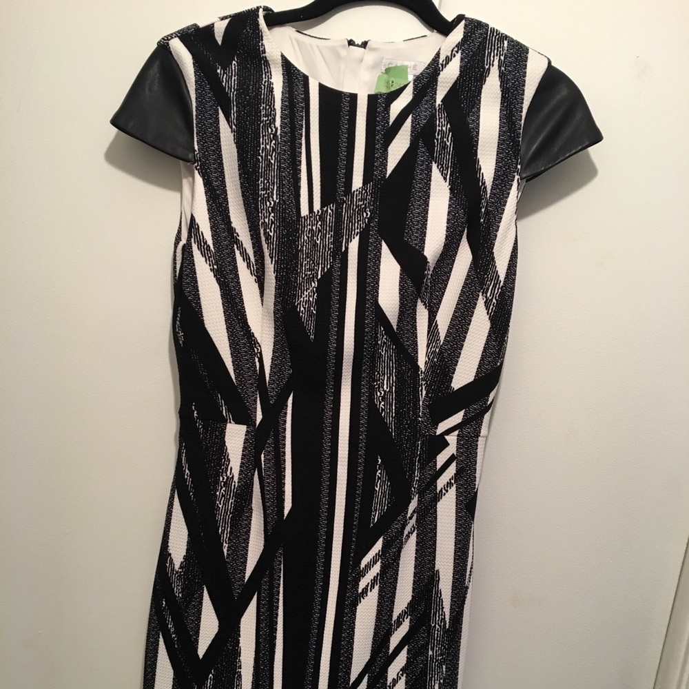 Knee length cache dress